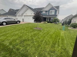 Manuel C.'s lawn care services service result