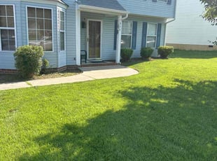 Megan Z.'s Bush Trimming service result