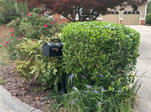 Monica T.'s Bush Trimming service result