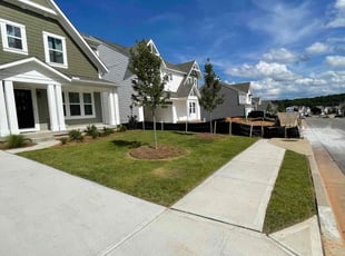 Alerise C.'s grass cutting service result
