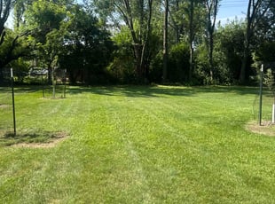 Mollie V.'s lawn care services service result