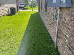 Jennifer P.'s lawn care service result