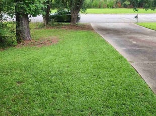 Courtney S.'s lawn care services service result