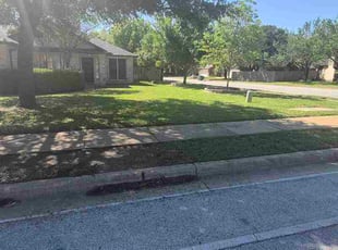 Ali B.'s grass cutting service result