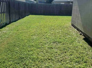 Gene M.'s turf maintenance service result