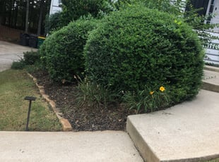 Chris G.'s Flower Bed Weeding service result