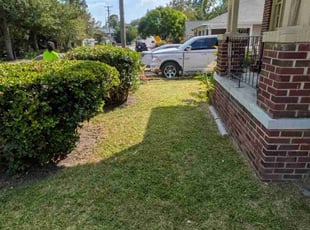 Brandon T.'s lawn care services service result