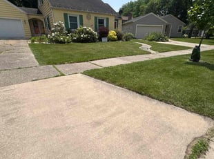 Shailesh N.'s lawn maintenance service result