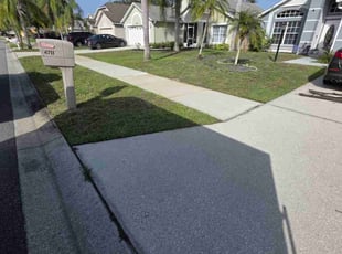 Patrick R.'s grass cutting service result