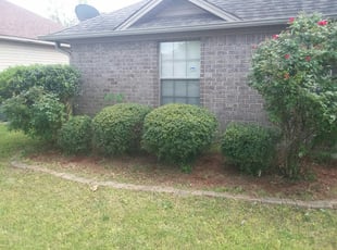 Robert L.'s Bush Trimming service result