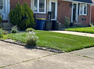 Bryon W.'s grass cutting service result