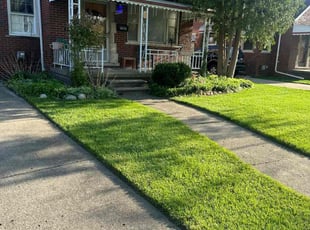 Aileen A.'s grass maintenance service result