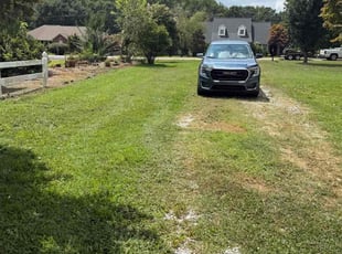 Rochelle V.'s turf maintenance service result