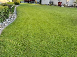 Sophie B.'s landscaping service result