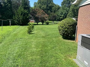 Emma W.'s lawn care services service result