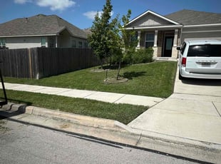 Shandon S.'s lawn care services service result