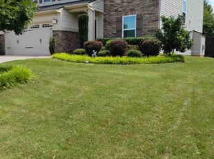 Annette M.'s lawn maintenance service result