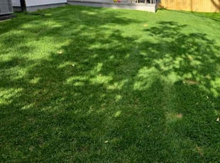 Thomas S.'s lawn care services service result