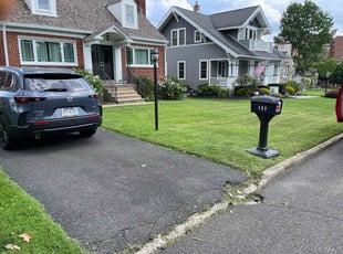 Richard M.'s grass maintenance service result