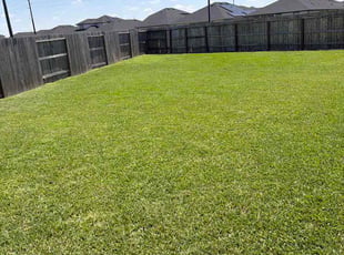 Linda L.'s lawn maintenance service result