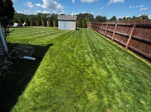 Mary F.'s turf care service result
