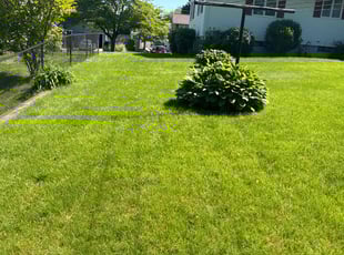 Garland C.'s lawn service service result