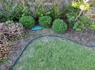 "Sarah M.'s Bush Trimming service result