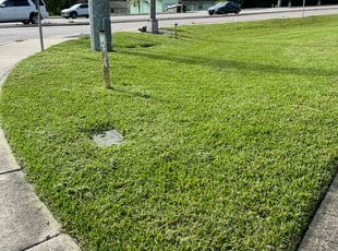 Cheryl T.'s grass cutting service result