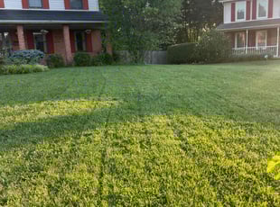 Tom B.'s lawn care services service result