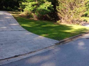 Tim P.'s grass cutting service result