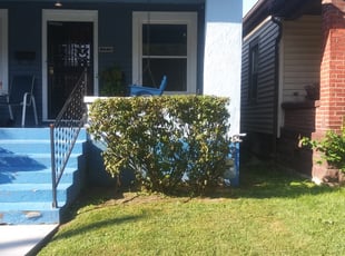 Marc R.'s Bush Trimming service result