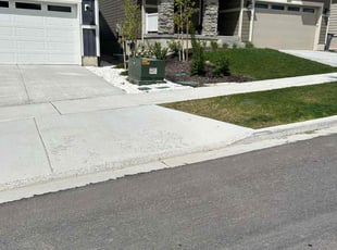 Colleen P.'s grass cutting service result