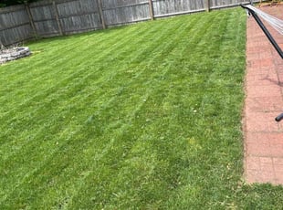 Robert C.'s lawn care services service result
