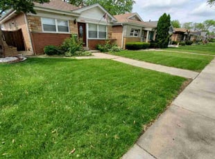 Nicholas T.'s lawn care services service result