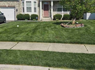 Louis V.'s turf maintenance service result