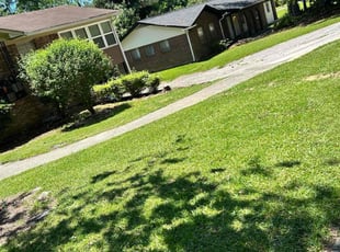 Robia G.'s turf care service result