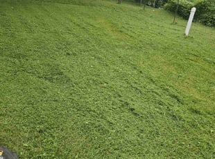 Cotey M.'s lawn service service result