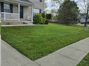 Mardene W.'s lawn care service result