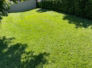 Grant A.'s lawn maintenance service result