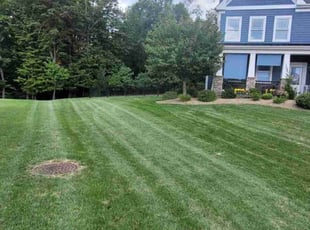 Debra W.'s grass maintenance service result