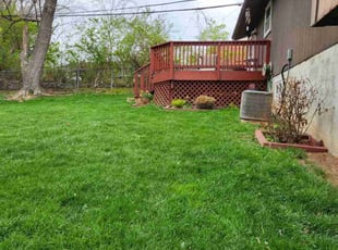 Chris H.'s lawn service service result