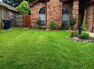 Karen R.'s turf care service result