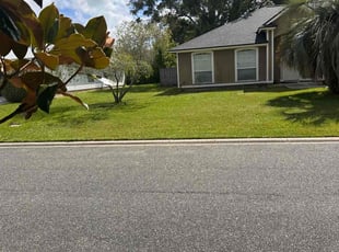 Charlene M.'s turf care service result