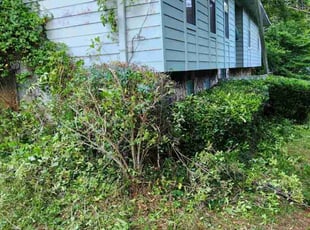 Mark M.'s Bush Trimming service result
