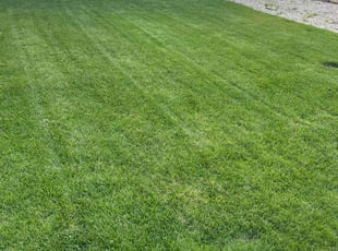 Caleb R.'s lawn care service result