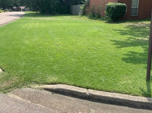 Jeb B.'s grass maintenance service result