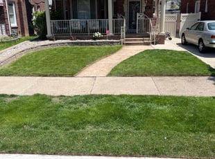 Janelle S.'s grass maintenance service result
