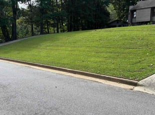 Michael T.'s lawn maintenance service result