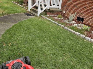 Frank K.'s grass maintenance service result