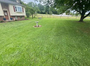 Susan A.'s lawn care services service result